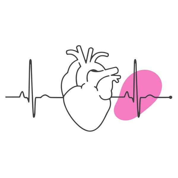 Cardiac IV