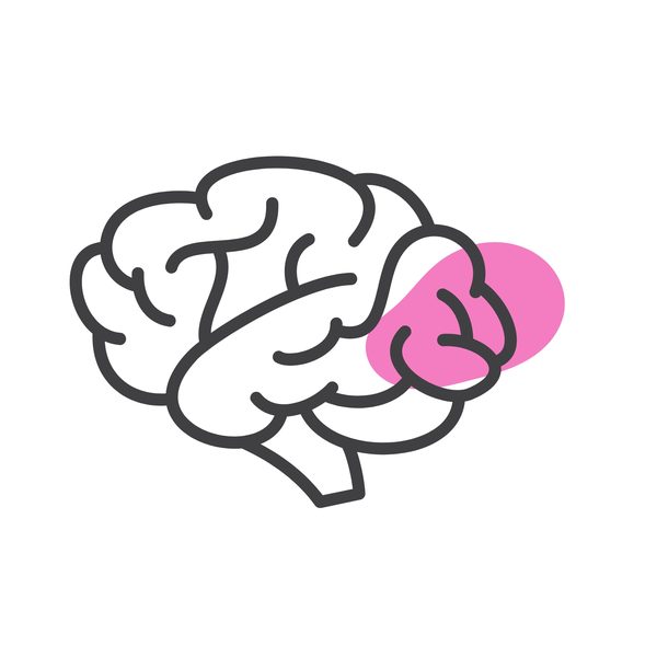 Mood and Brain Booster IV